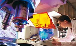Investigación y Desarrollo