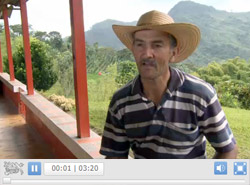 Video Resaltado