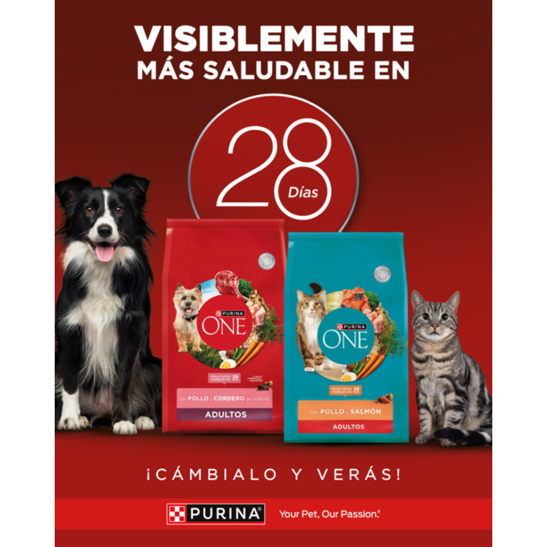 purina one