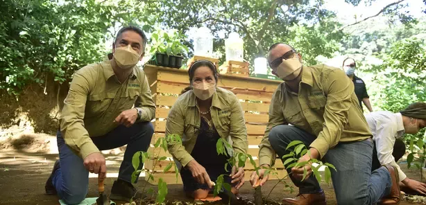 programa de reforestación “Bosques del Mañana”