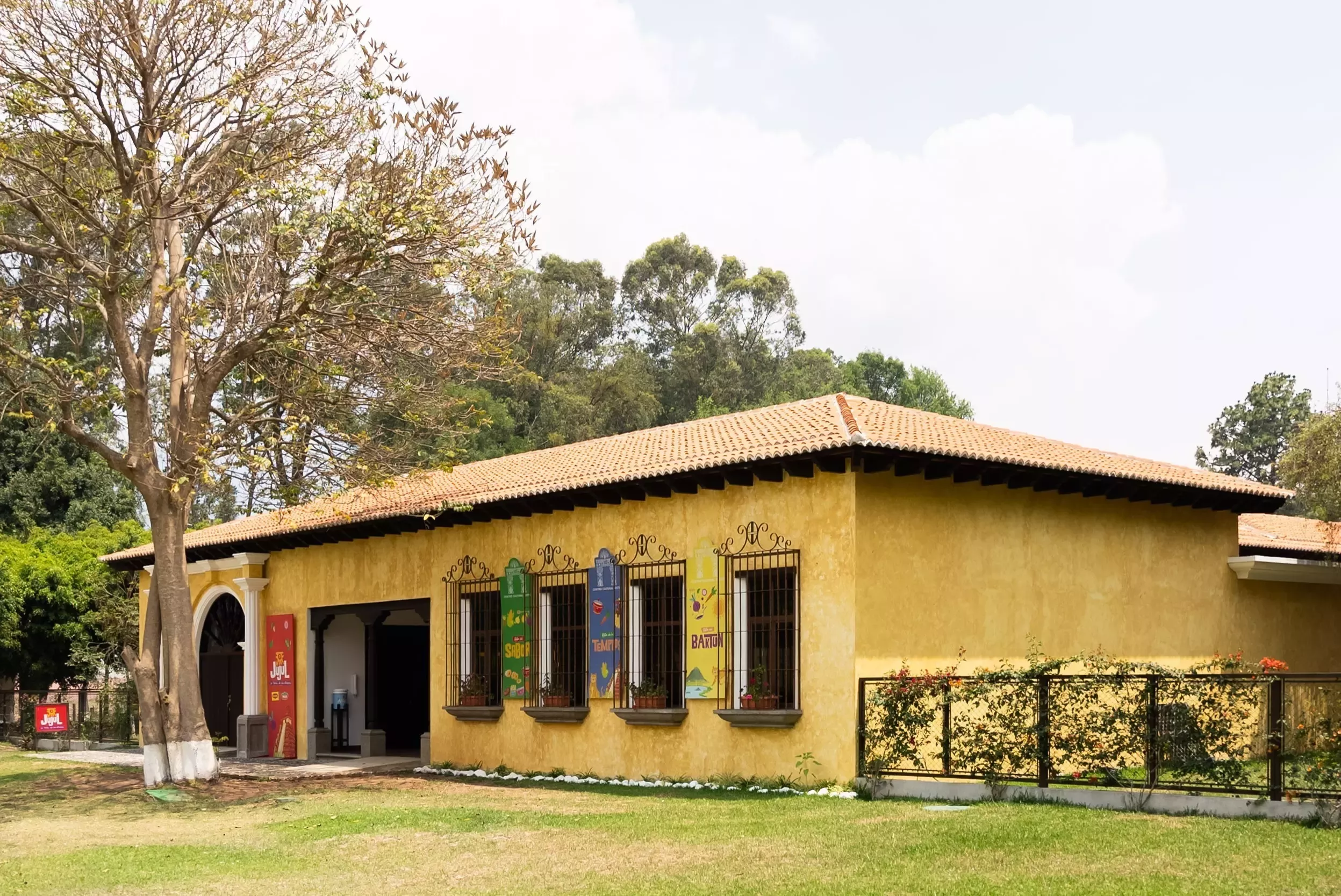 MUSEO