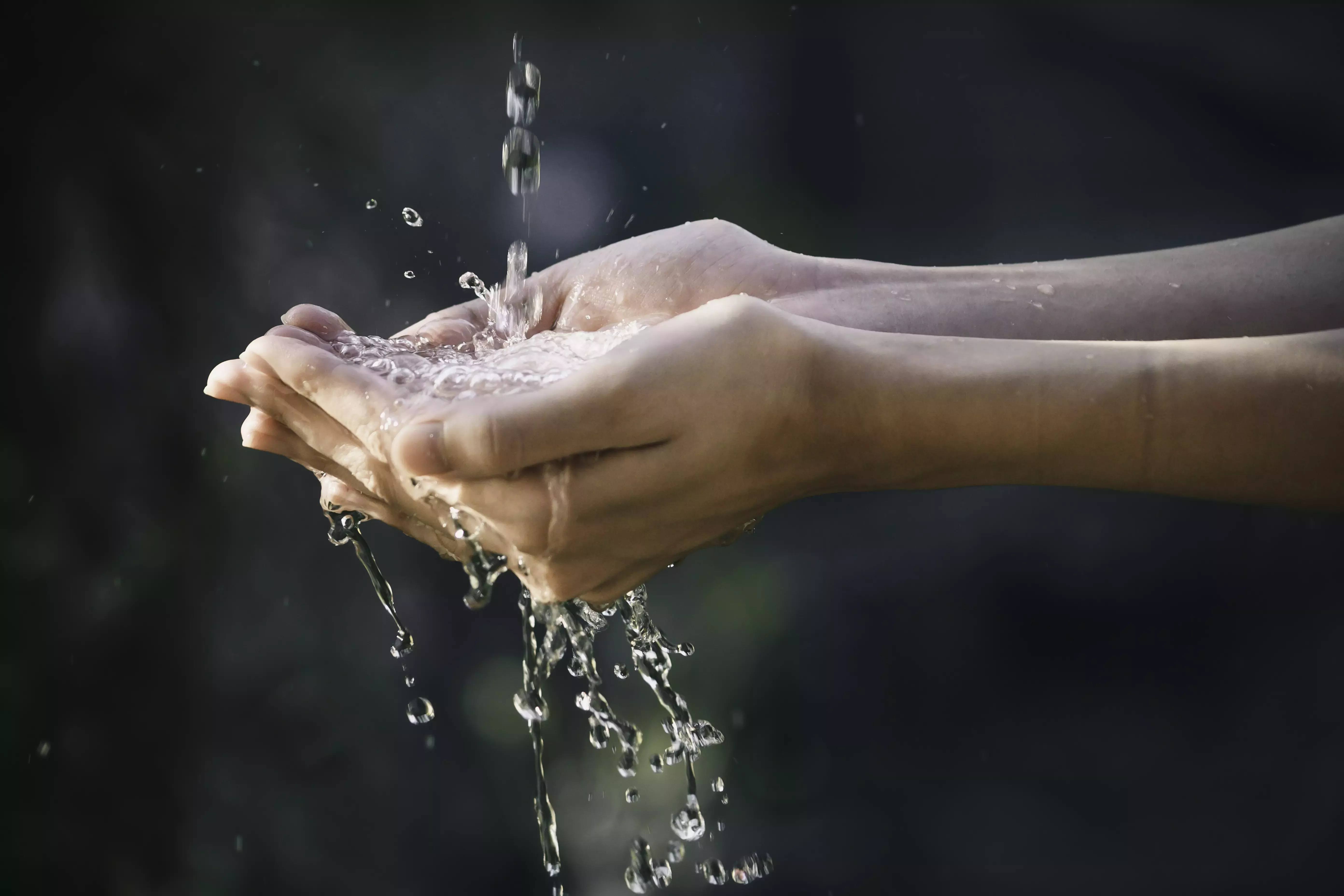 El cuidado del agua.