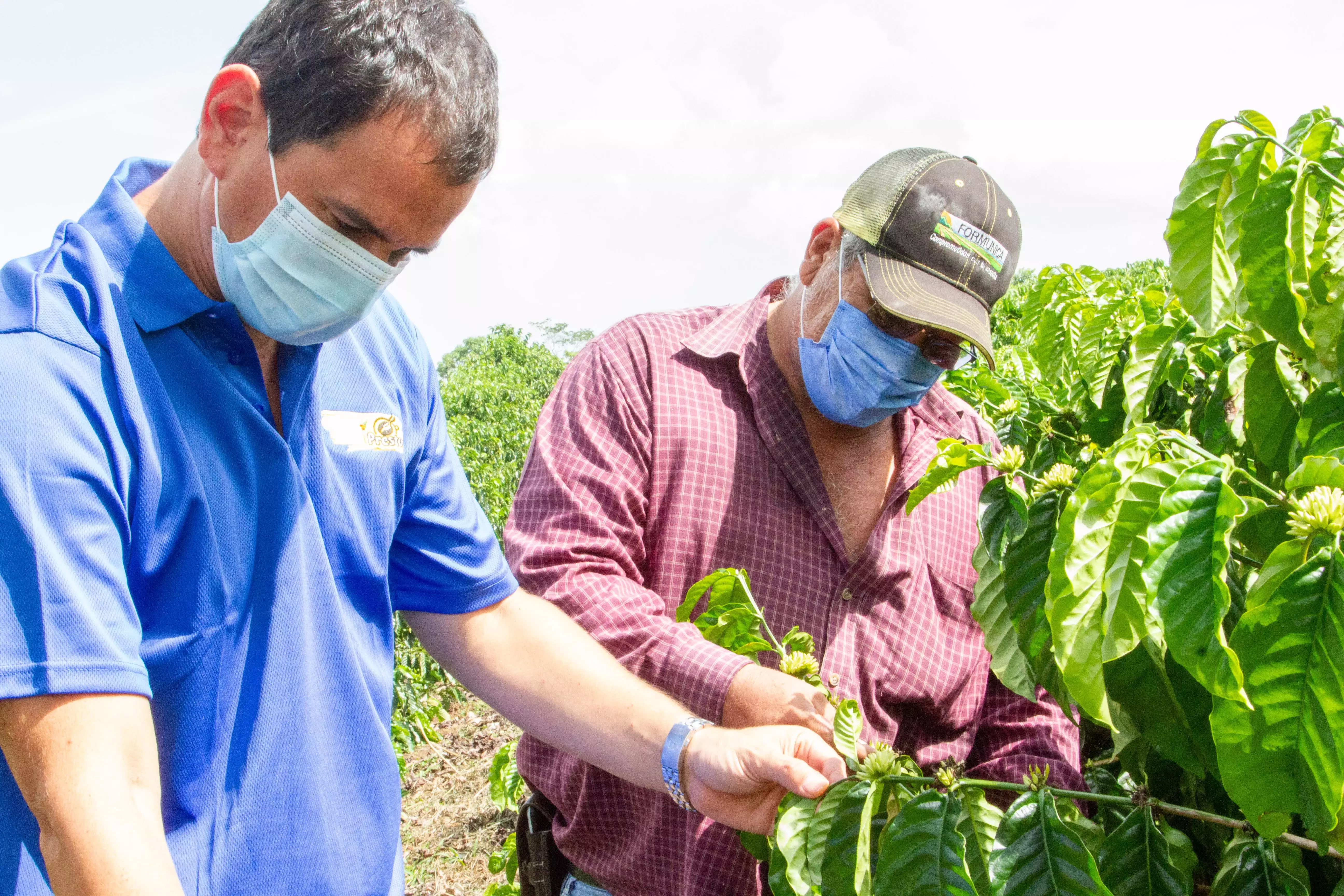 Caficultores a través de su programa de Creación de Valor Compartido de Nestlé