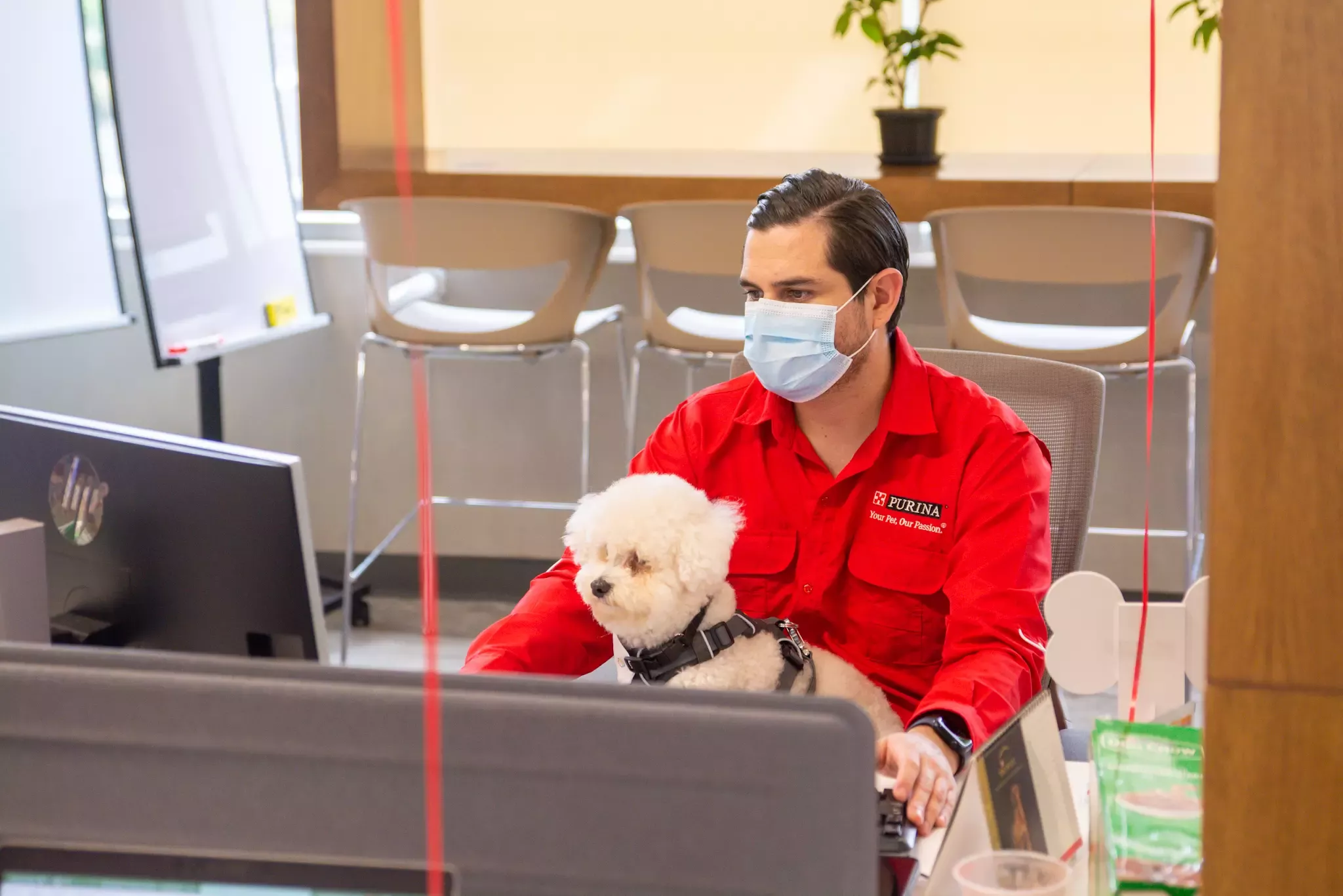 Pets at Work en Nestlé Costa Rica