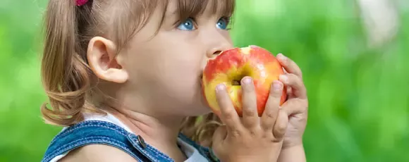 GERBER combate la obesidad infantil